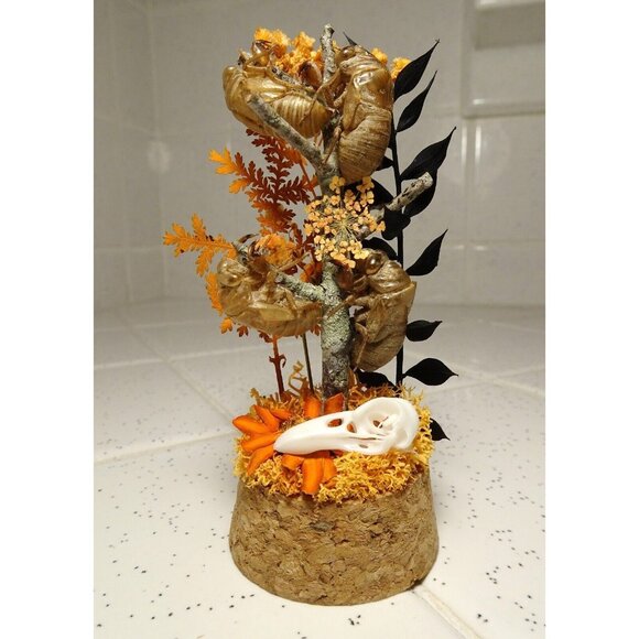 Cicada Skins Autumn Flowers Nature Art Oddity Jar mini Raven Skull goth witchy - Picture 4 of 16